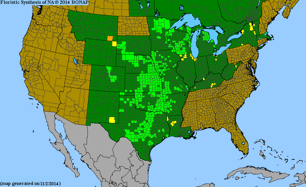 Map of United States counties. Highlighted counties indicate where Ceanothus herbaceus is present. Illinois only has six counties highlighted in the very northern portion of the state.